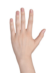 Obraz premium Woman against white background, closeup of hand