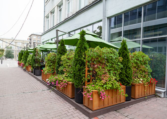 Flower arrangement with different street colors in a wooden box at the entrance to the cafe restaurant in russia, novosibirsk.