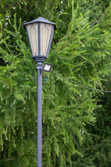 Vintage street lamp against the background of green fir tree with led spotlight, the concept of replacing ancient technologies with modern