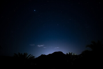 The stars and Jupiter extend out from a cluster of palms in the Mountains of Spain