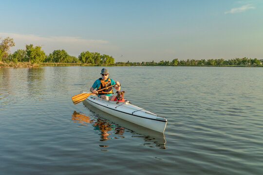 senior man is paddling a decked expedition canoe with his pit bull dog on a calm lake in Colorado in summer scenery, recreation with your pet concept - Powered by Adobe