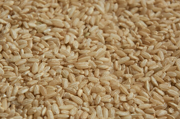 Raw unprocessed brown rice 