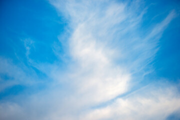 Naklejka na ściany i meble blue sky with clouds,nacka,sverige,sweden
