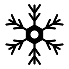 Vector Winter Glyph Icon Design