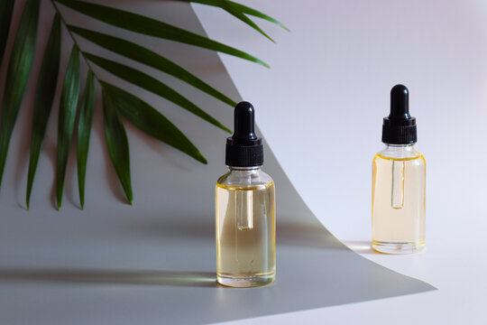 Two bottles of cosmetic essential oil and palm leaf. Beauty and body care concept. Serum skin care and anti-aging cosmetic product