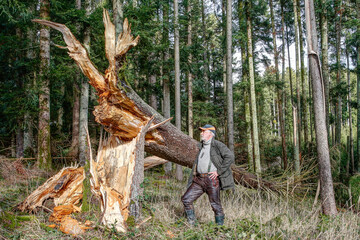 A forester looks at the storm damage in the forest. Also in Germany climate change leads to more...
