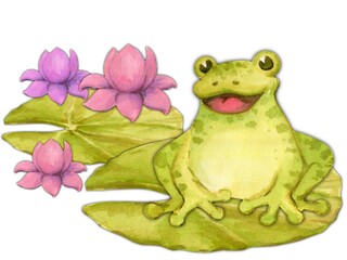 A postcard with the character of a cheerful frog on the leaves of a water lily on a white background. Watercolor illustration