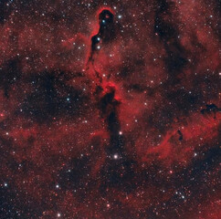 The dark interstellar gas and dust nebula Elephant's Trunk Nebula 
