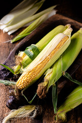 Fresh raw corn cobs on a wooden background. Healthy food, vegetarianism concept.