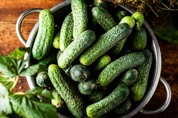 Fresh organic cucumbers in a sieve on a dark wooden background. Preparing for pickling.