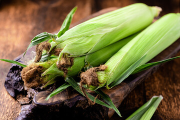 Fresh raw corn cobs on a wooden background. Healthy food, vegetarianism concept.