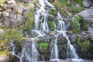 Mountain landscapes. Lakes of the principality of Andorra in summer. Ski slopes in summer. Wild animals, cows and horses.