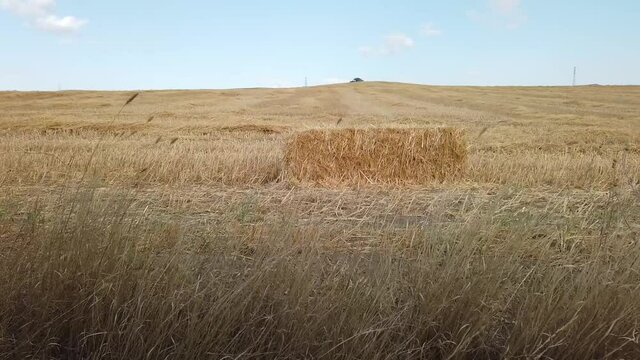 Alone Square Straw Bale in the Field