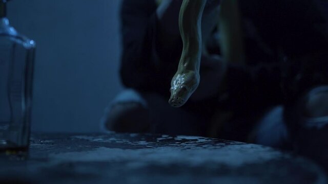 Man Lifts Yellow Snake out of the Table Dark Nighttime