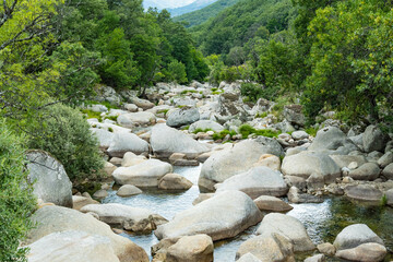 Río entre rocas en bosque verde