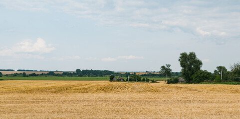 Fototapeta na wymiar View of a field with mown wheat