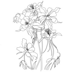 flowers