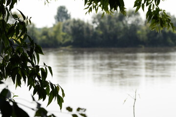 Wiasła near Sandomierz, river view.