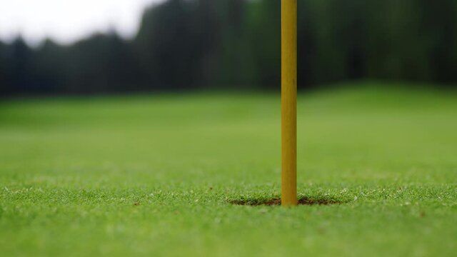 A golf ball rolling into a hole