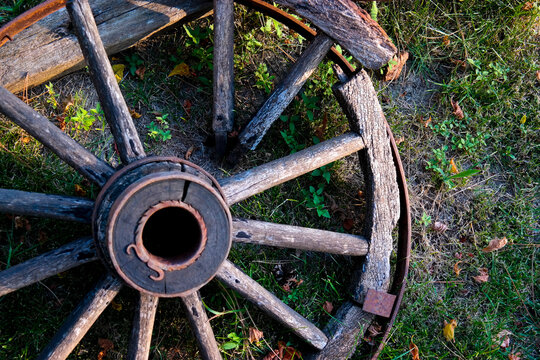 wooden broken wheel 