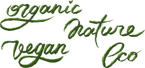Fototapeta premium Organic Nature Vegan Eco hand drawn green lettering. Natural product. Vector illustration