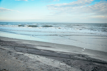 COAST ATLANTIC CITY MORNING DAWN OF A SEAGULL ON THE OCEAN COAST