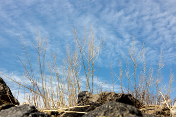 Beautiful view of nature. Aragatsotn province Armenia