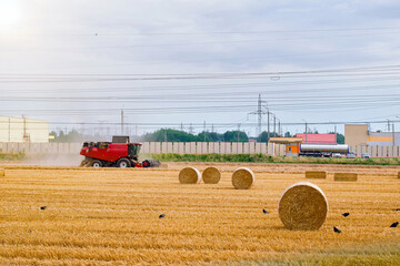 Fototapeta na wymiar Harvester working on golden farm field, agricultural machine and harvest rolls across field. Wheat harvesting on field in summer season. Gathering crops by agricultural machinery