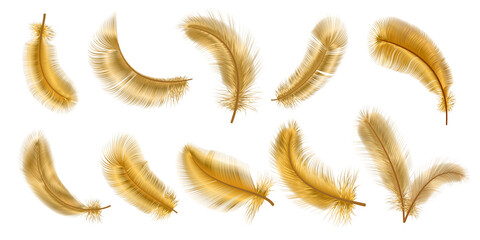 Realistic 3d fantasy bird fluffy golden feathers. Decorative gold glamour chic plume. Flying, falling and twirling soft feather vector set © Tartila
