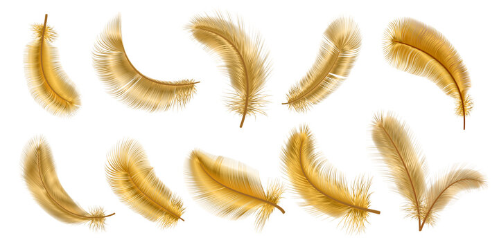 Realistic 3d fantasy bird fluffy golden feathers. Decorative gold glamour chic plume. Flying, falling and twirling soft feather vector set
