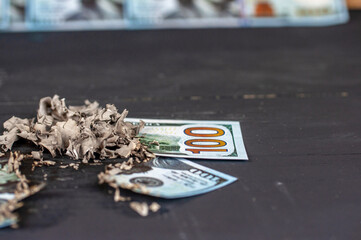 burning dollars close up - obrazy, fototapety, plakaty