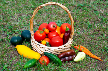 Fresh vegetables in a basket. 