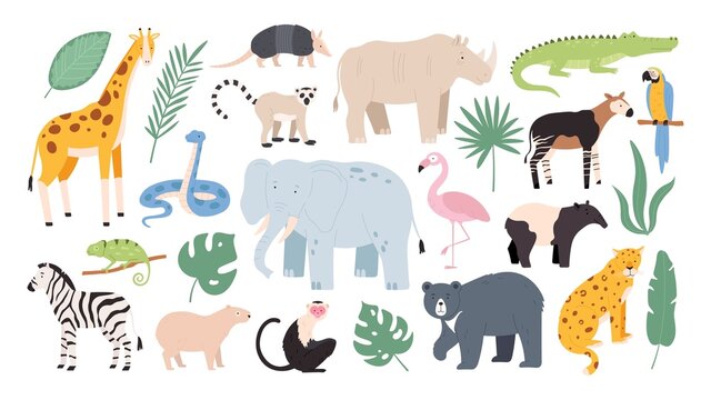 Flat wild safari animals from rainforest and savanna. Jungle forest birds, monkey and snake. African zebra, crocodile and jaguar vector set