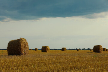 Beautiful view of agricultural field with hay bales
