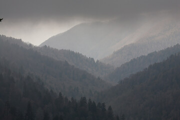 Looking Down-Valley from Morton Overlook, Great Smoky Mountains National Park