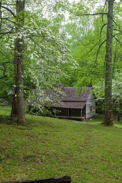 Bud Ogle Cabin, Great Smoky Mountains National Park