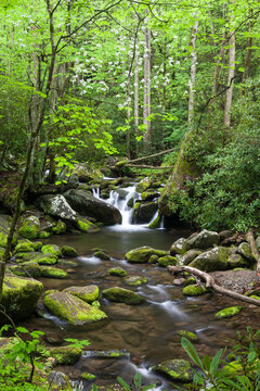 Roaring Fork, Great Smoky Mountains National Park