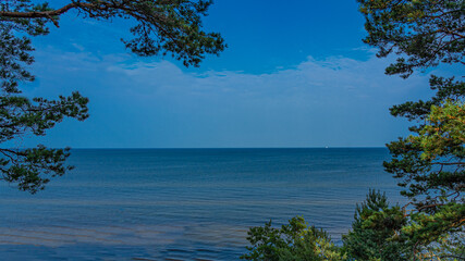 A view of a blue sea. Pine branches.