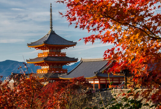 the Kiyomizu-dera temple thrones above Kyoto