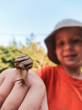 Snail on hand of smiling little boy outdoors close up