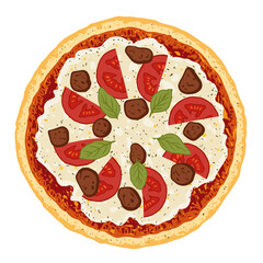 Pizza topped with tomato sauce, mozzarella cheese, tomatoes, meatballs and basil. Vector illustration of hand drawn pizza.
