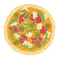 Pizza topped with cheese, prosciutto, arugula and green olive. Vector illustration of hand drawn pizza. 