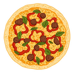 Pizza topped with cheese, red bell pepper, meatballs and basil. Vector illustration of hand drawn pizza. 