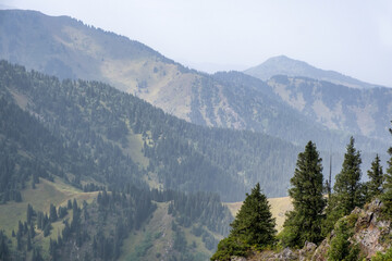 Obraz premium landscape in the morning