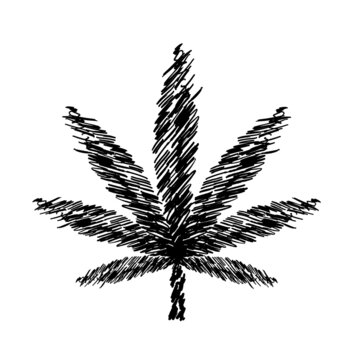 Weed, Cannabis, Mariguana, HEMP leaf Hand Drawing
