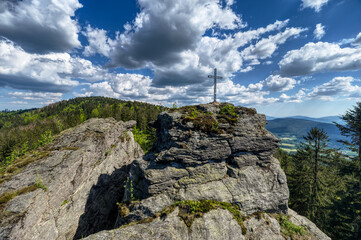 Fototapeta premium der bayrische Wald