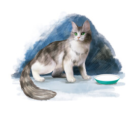 cat in a bowl