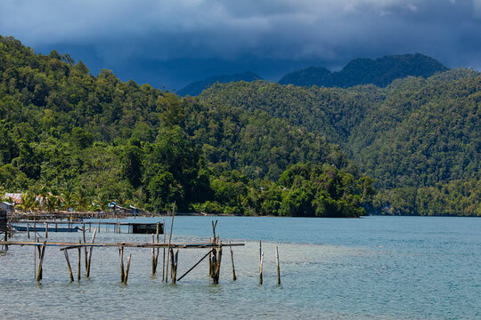 Api Rabia Shp รูปภาพRabia – เลือกดูภาพถ่ายสต็อก เวกเตอร์ และวิดีโอ984 | Adobe Stock