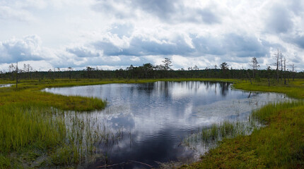 peat bog and blue lake landscape under an expressive sky with white clouds