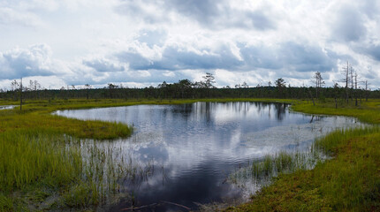Fototapeta na wymiar peat bog and blue lake landscape under an expressive sky with white clouds